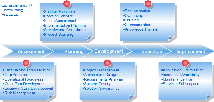 lionsgatesoft_consulting_process_light